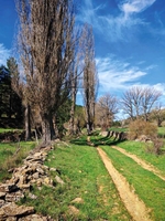 Camino Motorritas a Gúdar