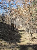 Vistas del sendero