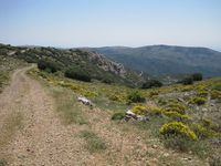 Vistas desde sendero