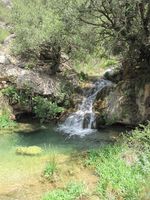 Pequeña cascada en los Amanaderos