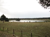 Panorámica Laguna de Rubiales