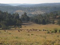 Vistar desde el sendero