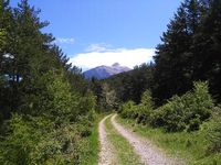 Vistas desde el sendero