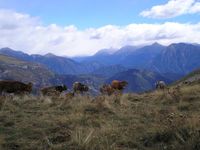 Vista panorámica de Cuello Ratón