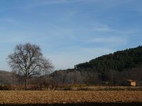 Paisaje visto desde el sendero