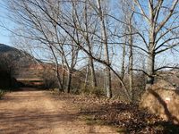 Sendero sobre camino