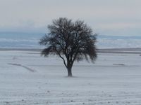 Paisaje nevado, entorno de Bello