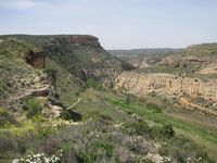 Estrechos del río Martín, Albalate del Arzobispo