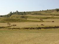 Campos de cultivo en el entorno del sendero