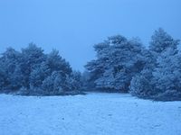 Paisaje nevado