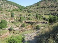Paisaje sendero