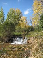 Bosque ribera Rio Valbona