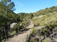 Vista del sendero