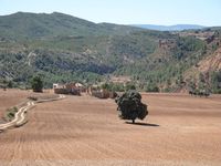 Vista de mases y campos de cultivo