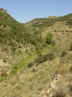 Vista de un barranco desde el sendero