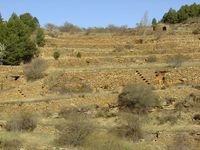 Muros de piedra seca