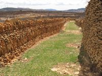 Sendero entre muros de piedra seca