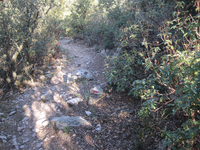 Entorno pantano del niño Jesús