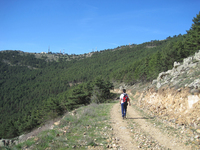 Pico del Águila