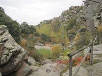Paisaje otoñal