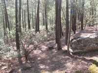Bajada a pista Fuente de la Señora