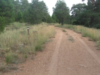 Pista de la Losilla