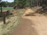 Pista pinturas del Navazo