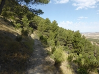Senda monte Tolocha