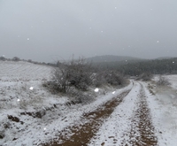 Rambla de Val de la Cueva
