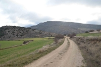 Modorra de Cucalón