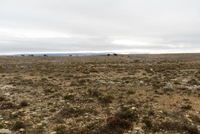 Vista general de las Parameras