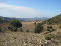 Panorámica Royuela