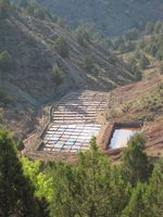 Salinas de Royuela