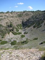 Dolina