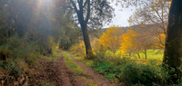 Sendero