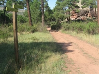 Sendero arboreto