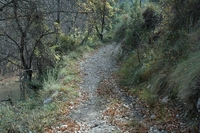 Sendero